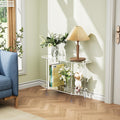 Oval 2-Tier Clear Acrylic Side Console Table